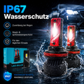 LED Scheinwerferlampen 10000LM – 45W, 6500K, IP67